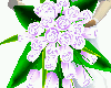 White Bouquet w/Lavender