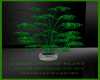 Green Potted Plant