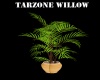 TarZone Willow Plant