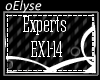 E| Experts