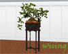 Bonsai with stand