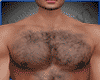 Muscle Chest Hair
