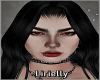 >  L  Black  Belly