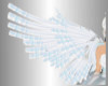 N~D Angel Wings 2023