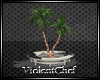 [VC] Romantic Palm Tree
