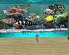 animated fish tank