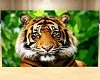 poster tigre