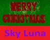 Sky's Merry Christmas 21