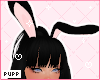 𝓟. Nyx Bun Ears