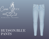 Hudson Blue Pants