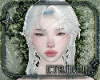 Wind Fairy Hair Base v18