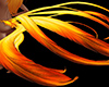 GL-Rising Phoenix Tail 1