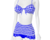 Blue Plaid Skirt/Top S