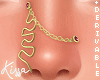 DRV. Nose Piece Swirl