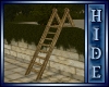 [H]Avariel wall & ladder