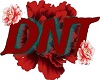 DNT Vest