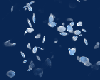 T-  Petals Falling blue