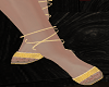 Golden Elegant Shoes