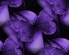 Purple flowered swingset