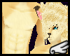 [S]Fennec Foxx Fur -M