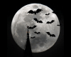 Bats In the Moonlight