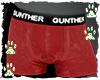 Boxer Gunther Red