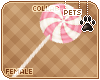 [Pets] Phar | lollipop