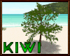 Tiare Tahiti tree