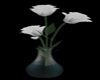 ~S~ Animated White Roses