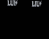 Couple Liu&Lui