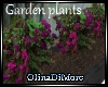 (OD) Garden plants