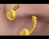 C | Gold Nose Ring