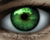 -CP- Clear green eyes