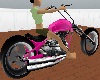 pink moto