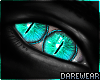 Orbweaver Spider Eyes