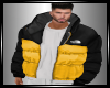 Puffer Jacket north fac