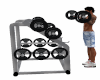 weight lifting bars