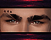 H | 3 Stars Brows