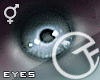 TP Unisex Eyes - Theta 3