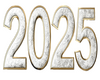 ***2 0 2 5***