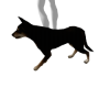 Dobermen