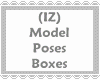 (IZ) Models Posing Boxes