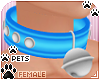 [Pets] Collar v2 | Blue