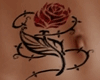 rose belly tattoo