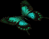Color changing butterfly
