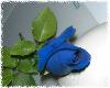 Blue Rose