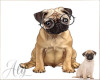 A Pugs Life   Calendar