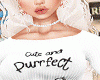 Cute Cat Outfit