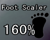 Foot Scaler 160%