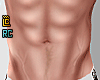 r. My Shape muscle